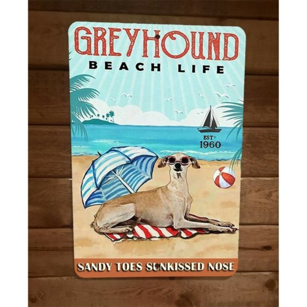Greyhound Beach Life‎ Sandy Toes Sunkissed Nose 8x12 Metal Wall Animal Dog Sign